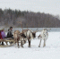 c2b3013f3daff7b3c222c5713e966402.jpeg - Звенигородские ведомости