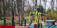 Воркаут-площадку установили в деревне Марьино под Звенигородом - Regions.Ru