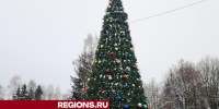 Более 1000 игрушек украсили елки в центре села Ершово - Regions.Ru