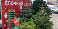 Елочные базары в Звенигороде будут работать до 31 декабря - Regions.Ru