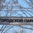 В Звенигороде Международный женский день отметят концертом в парке - Regions.Ru