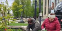 Бархатцы и тюльпаны украсят самые популярные места для фотосессий в Звенигороде - Regions.Ru