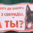 В Звенигороде открыли сезон собаки-путешественники - Regions.Ru