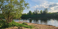 На каких пляжах под Звенигородом можно купаться, а где - только загорать - Regions.Ru