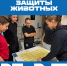 «Всемирном Дне защиты животных» - Училище олимпийского резерва №2